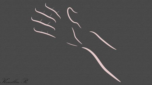 1360358 (a): :1920x1080